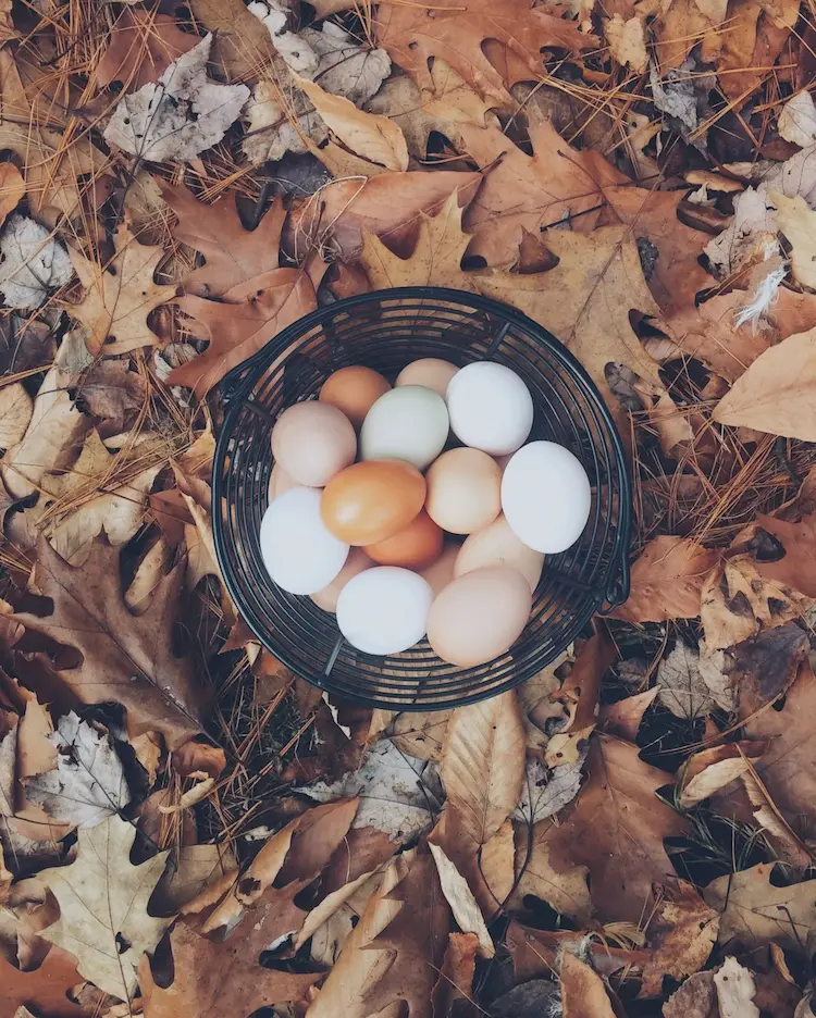 Farm-Fresh Goodness